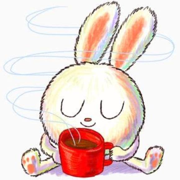 Meet your Posher, Jackson - Picture 1 of 1